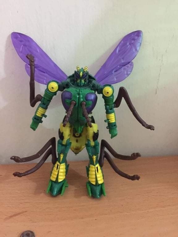 Transformers News: Possible Look At Transformers Kingdom Deluxe Class Waspinator Transformers News: Possible Look At Transformers Kingdom Deluxe Class Waspinator
