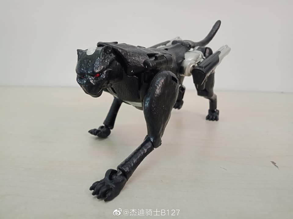 Transformers News: Video Review and In hand Images of Upcoming Transformers Agent Ravage Figure Transformers News: Video Review and In hand Images of Upcoming Transformers Agent Ravage Figure
