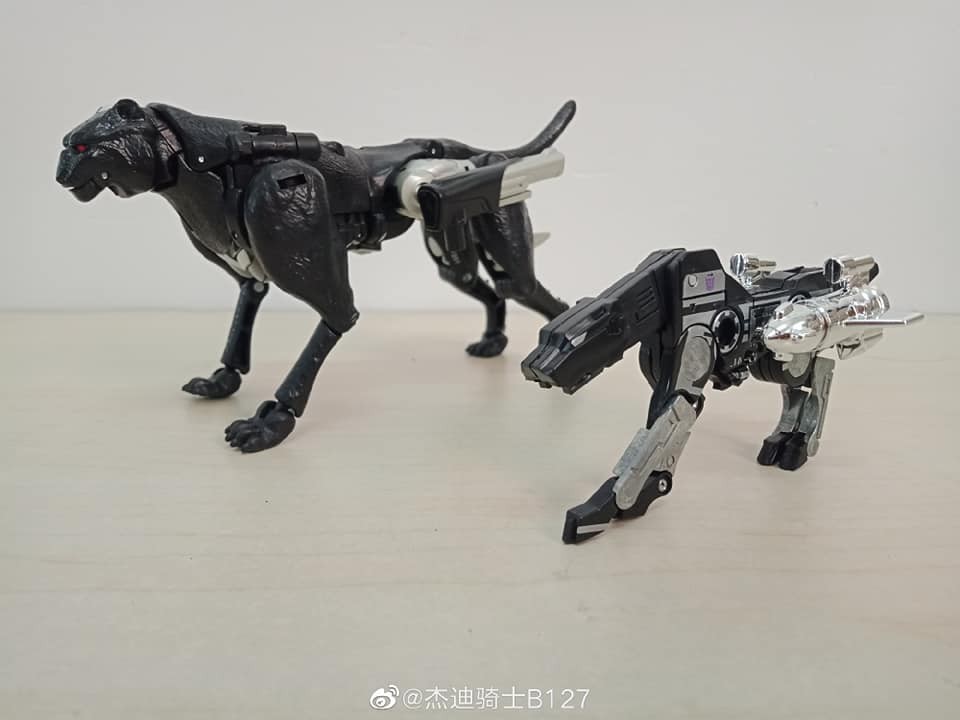 Transformers News: Video Review and In hand Images of Upcoming Transformers Agent Ravage Figure Transformers News: Video Review and In hand Images of Upcoming Transformers Agent Ravage Figure