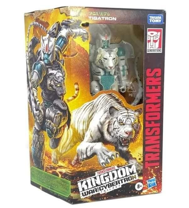 Transformers News: Video Review Offers First Look at Kingdom Voyager TIgatron Transformers News: Video Review Offers First Look at Kingdom Voyager TIgatron