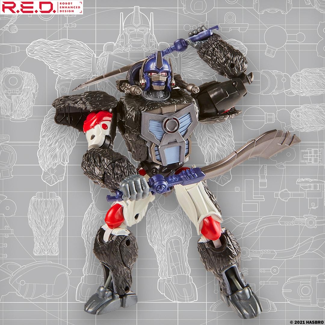 Transformers News: Preorders up for Transformer RED Series Optimus Primal and Reformatting Megatron Transformers News: Preorders up for Transformer RED Series Optimus Primal and Reformatting Megatron