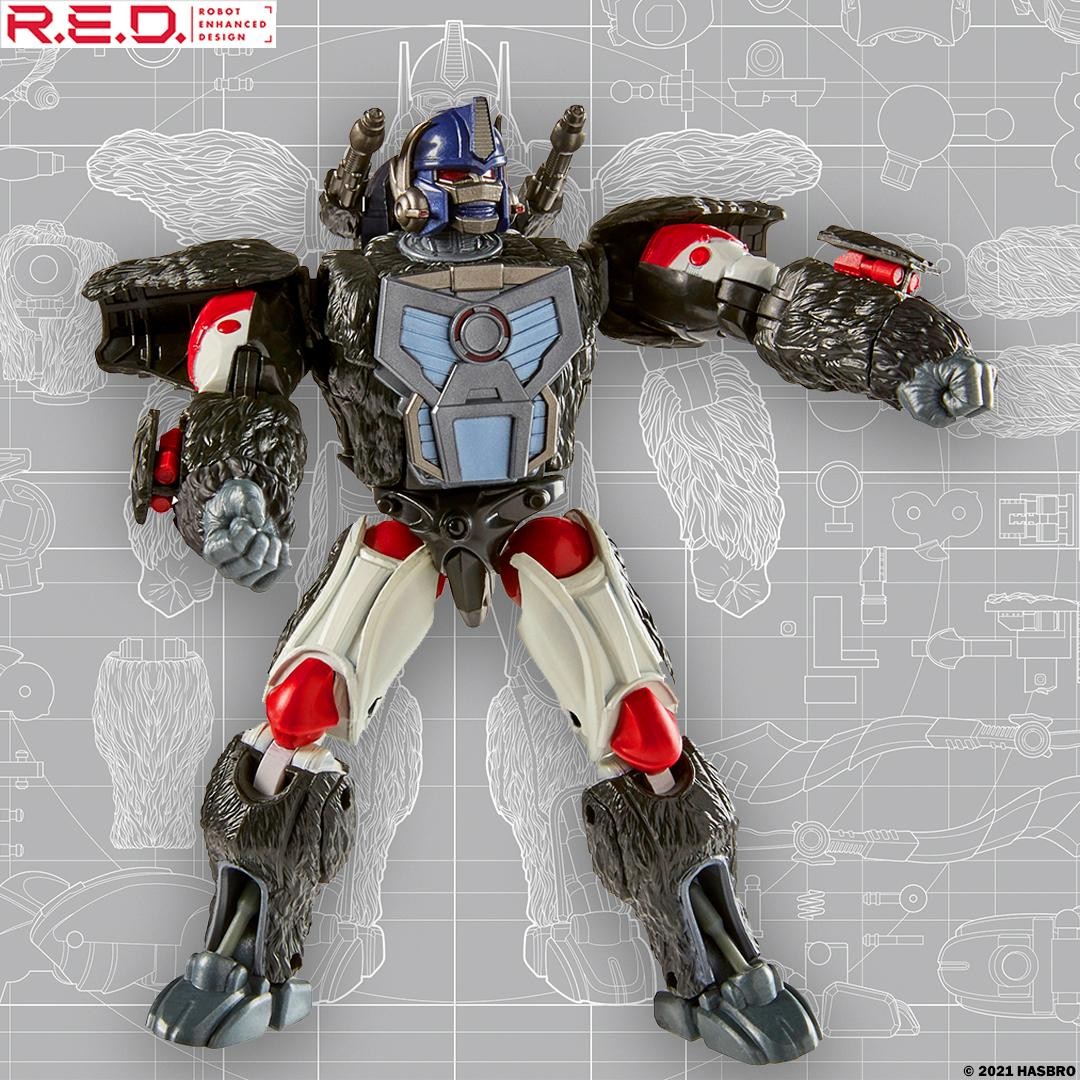 Transformers News: Preorders up for Transformer RED Series Optimus Primal and Reformatting Megatron Transformers News: Preorders up for Transformer RED Series Optimus Primal and Reformatting Megatron