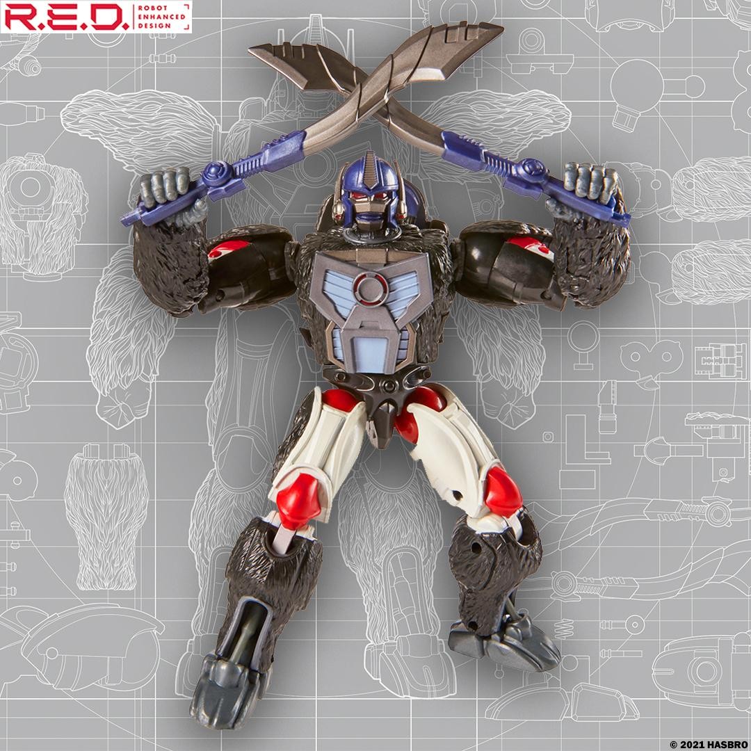 Transformers News: Preorders up for Transformer RED Series Optimus Primal and Reformatting Megatron Transformers News: Preorders up for Transformer RED Series Optimus Primal and Reformatting Megatron