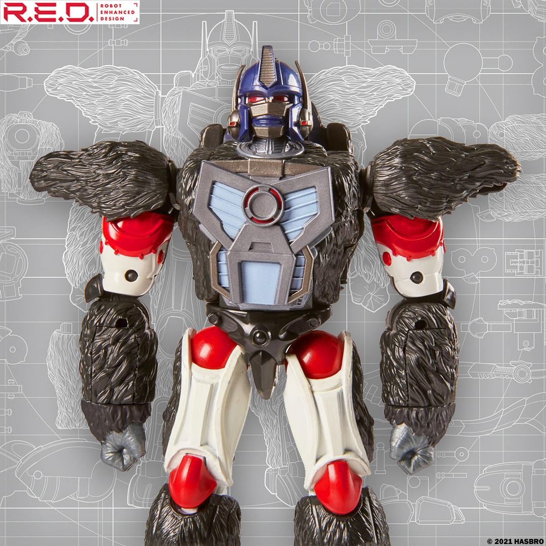 Transformers News: Preorders up for Transformer RED Series Optimus Primal and Reformatting Megatron Transformers News: Preorders up for Transformer RED Series Optimus Primal and Reformatting Megatron