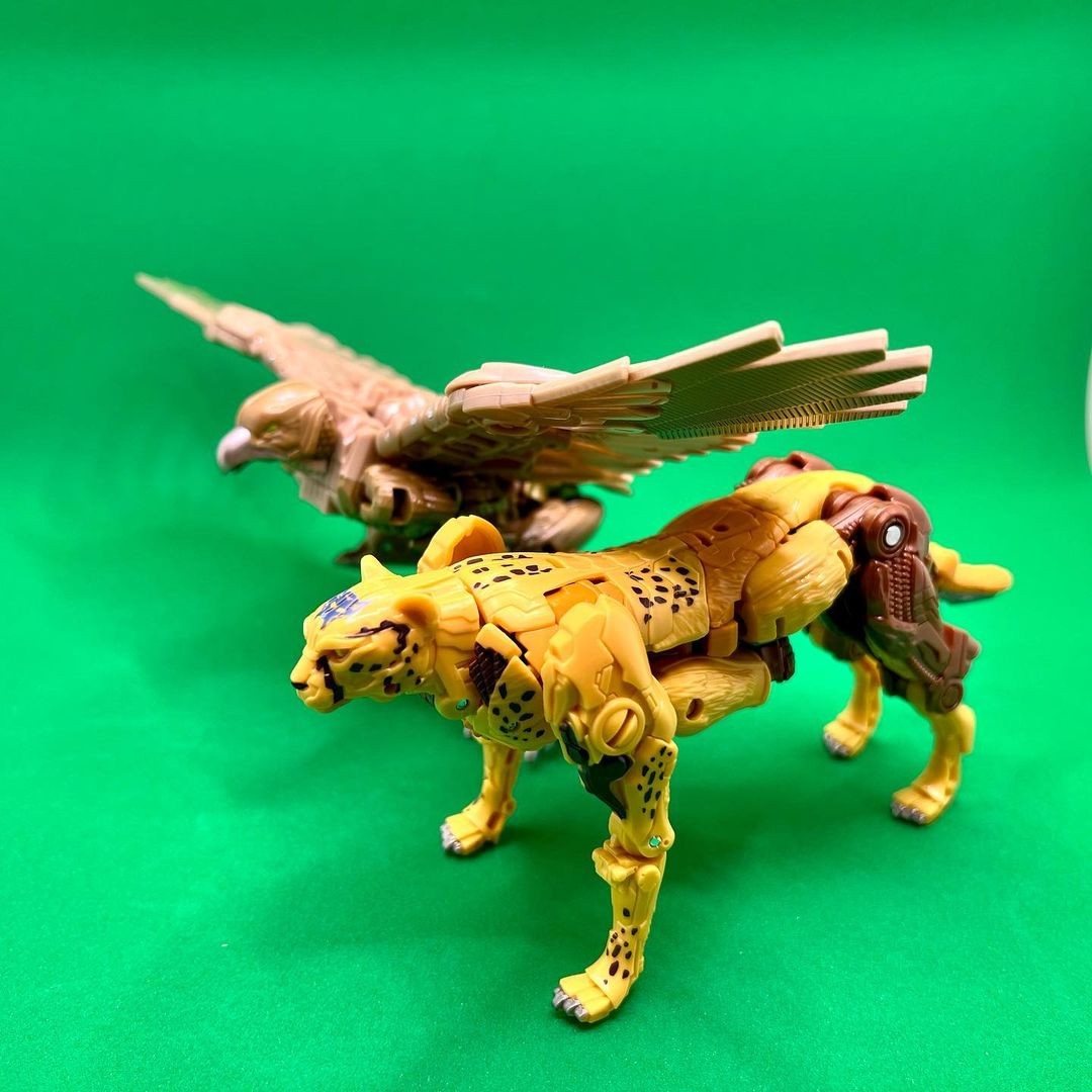 Transformers News: New Rise of the Beasts Cheetor Toy Seems to use Design Cues from Kingdom Mold Transformers News: New Rise of the Beasts Cheetor Toy Seems to use Design Cues from Kingdom Mold