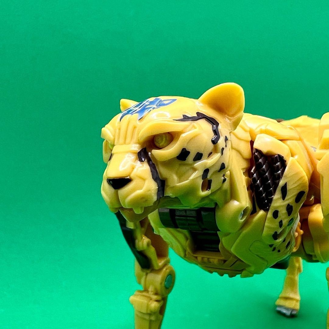 Transformers News: New Rise of the Beasts Cheetor Toy Seems to use Design Cues from Kingdom Mold Transformers News: New Rise of the Beasts Cheetor Toy Seems to use Design Cues from Kingdom Mold