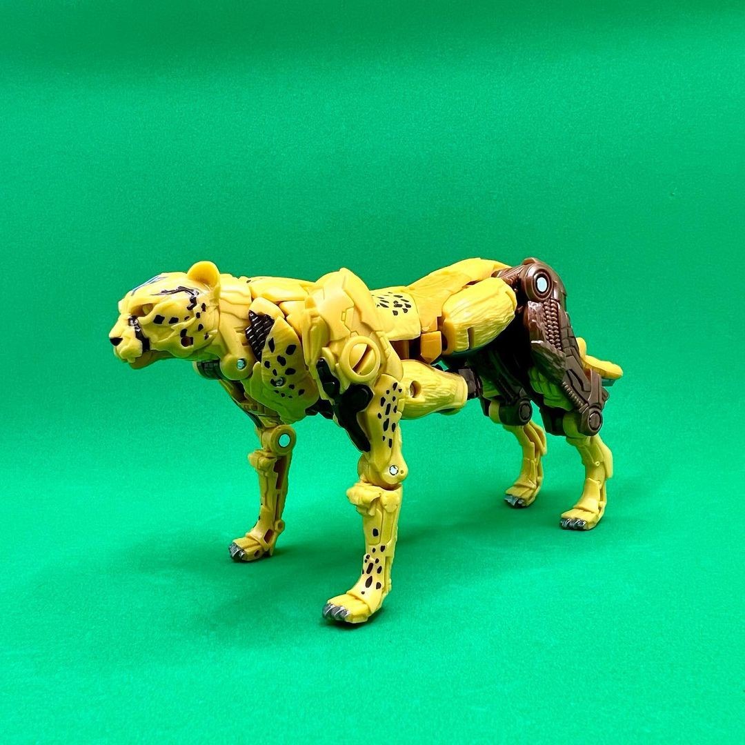 Transformers News: New Rise of the Beasts Cheetor Toy Seems to use Design Cues from Kingdom Mold Transformers News: New Rise of the Beasts Cheetor Toy Seems to use Design Cues from Kingdom Mold