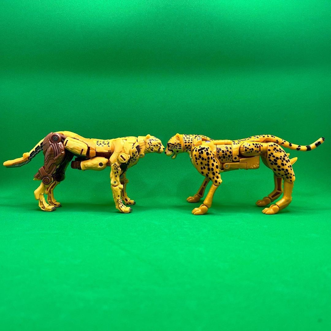 Transformers News: New Rise of the Beasts Cheetor Toy Seems to use Design Cues from Kingdom Mold Transformers News: New Rise of the Beasts Cheetor Toy Seems to use Design Cues from Kingdom Mold