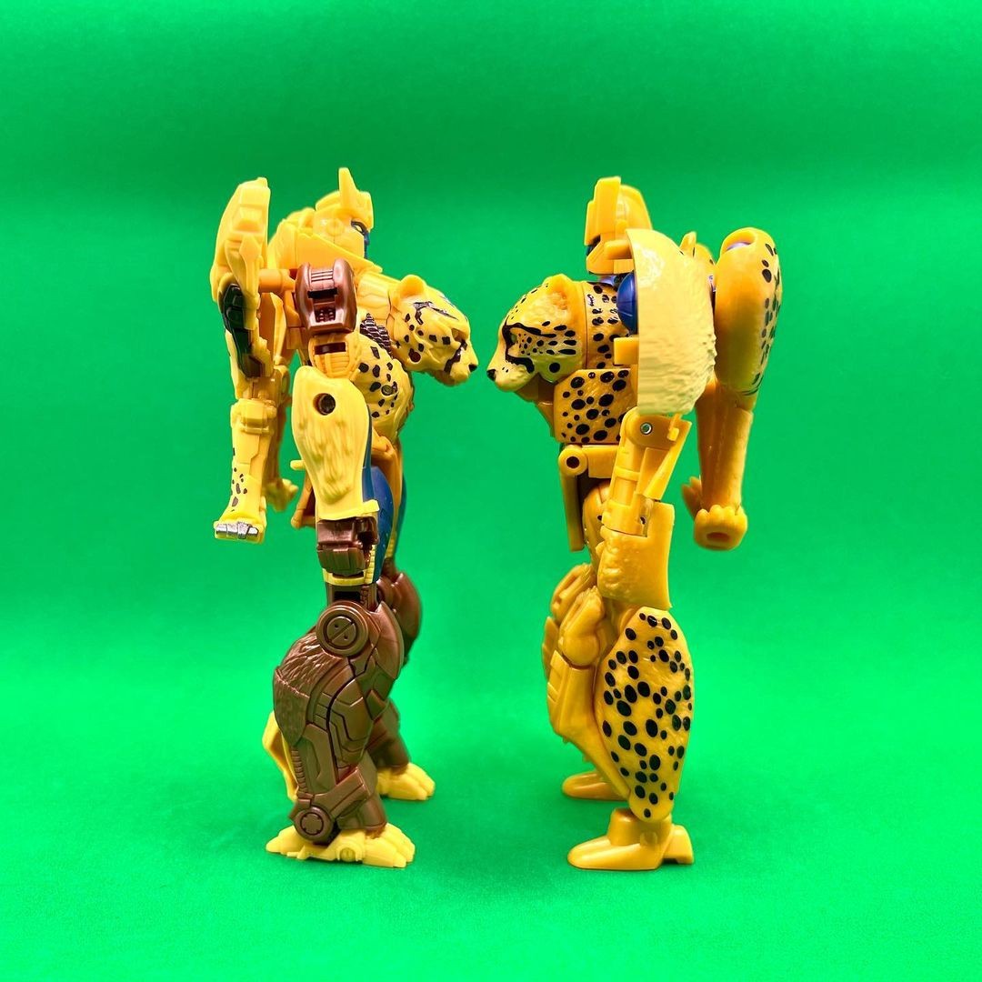Transformers News: New Rise of the Beasts Cheetor Toy Seems to use Design Cues from Kingdom Mold Transformers News: New Rise of the Beasts Cheetor Toy Seems to use Design Cues from Kingdom Mold