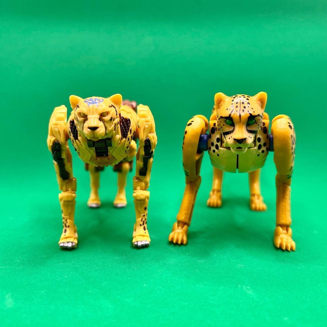 Transformers News: New Rise of the Beasts Cheetor Toy Seems to use Design Cues from Kingdom Mold Transformers News: New Rise of the Beasts Cheetor Toy Seems to use Design Cues from Kingdom Mold