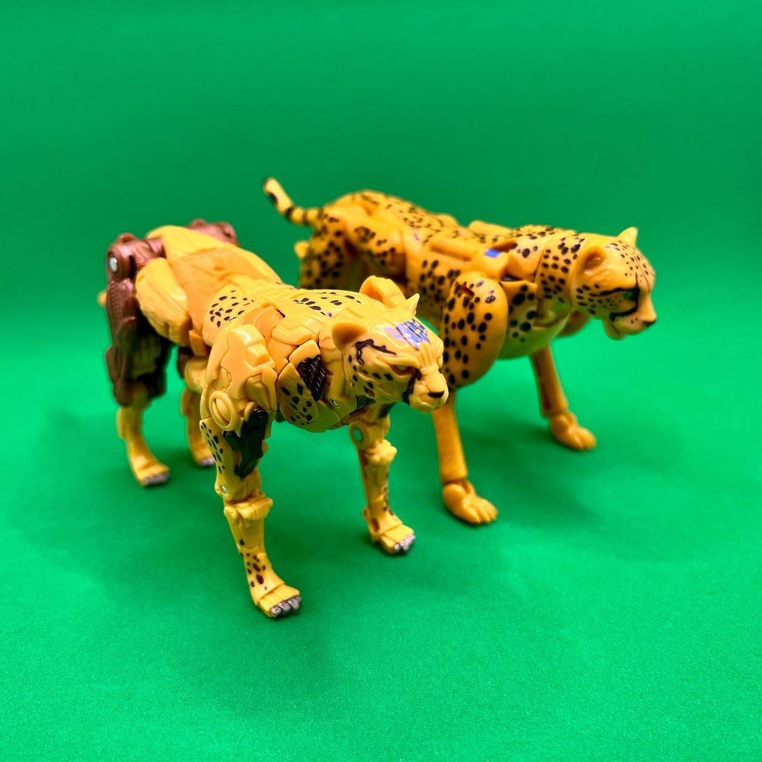Transformers News: New Rise of the Beasts Cheetor Toy Seems to use Design Cues from Kingdom Mold Transformers News: New Rise of the Beasts Cheetor Toy Seems to use Design Cues from Kingdom Mold