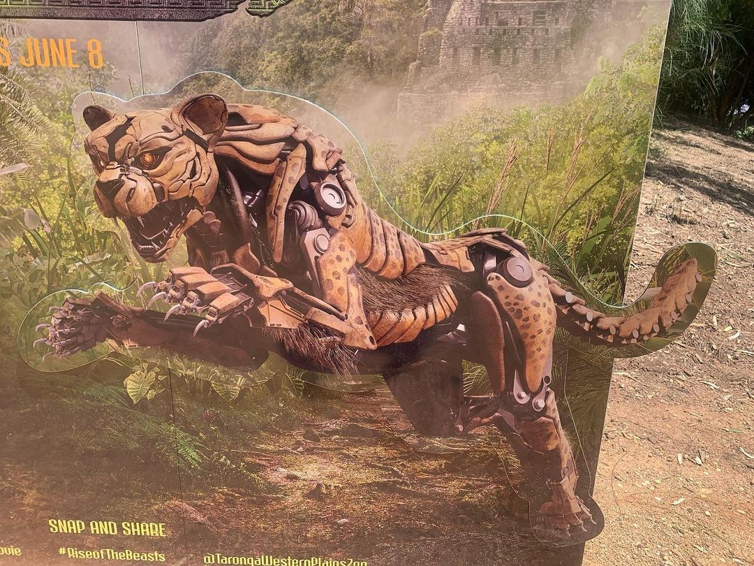 Transformers News: More Images of Rhinox, Cheetor and Airazor from the Transformers Rise of the Beasts Film Transformers News: More Images of Rhinox, Cheetor and Airazor from the Transformers Rise of the Beasts Film
