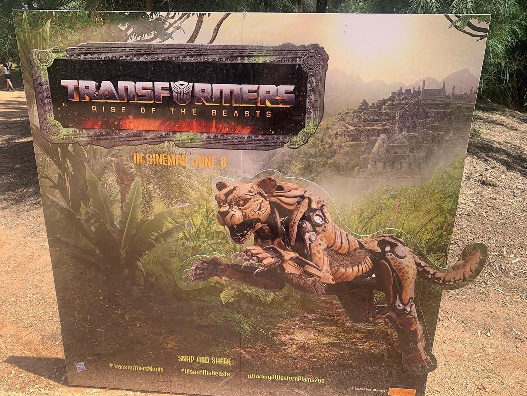 Transformers News: More Images of Rhinox, Cheetor and Airazor from the Transformers Rise of the Beasts Film Transformers News: More Images of Rhinox, Cheetor and Airazor from the Transformers Rise of the Beasts Film
