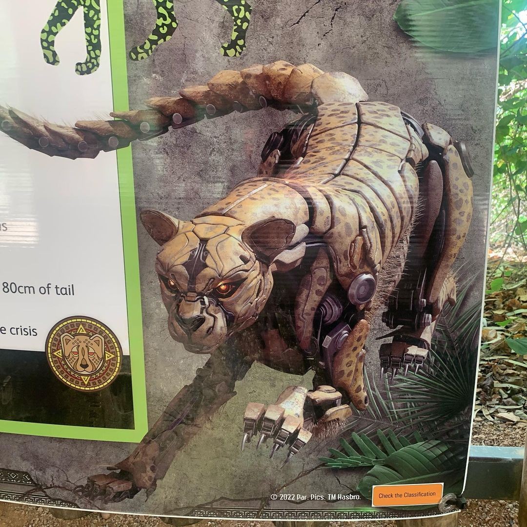Transformers News: More Images of Rhinox, Cheetor and Airazor from the Transformers Rise of the Beasts Film Transformers News: More Images of Rhinox, Cheetor and Airazor from the Transformers Rise of the Beasts Film