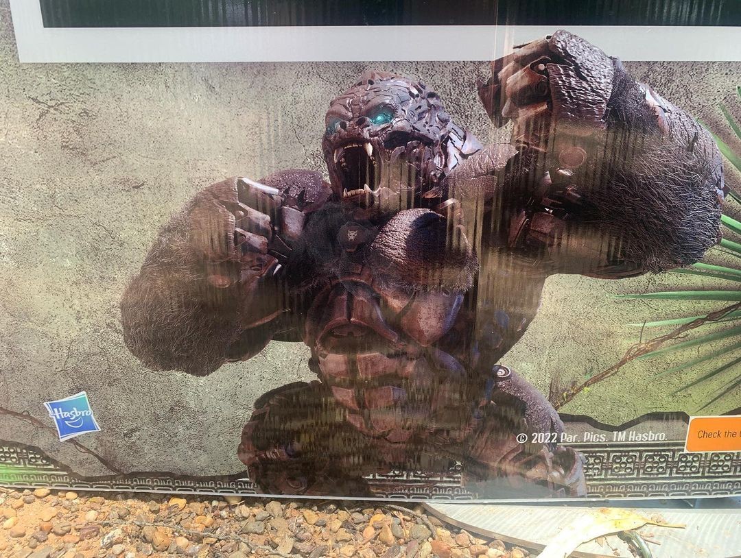 Transformers News: More Images of Rhinox, Cheetor and Airazor from the Transformers Rise of the Beasts Film Transformers News: More Images of Rhinox, Cheetor and Airazor from the Transformers Rise of the Beasts Film