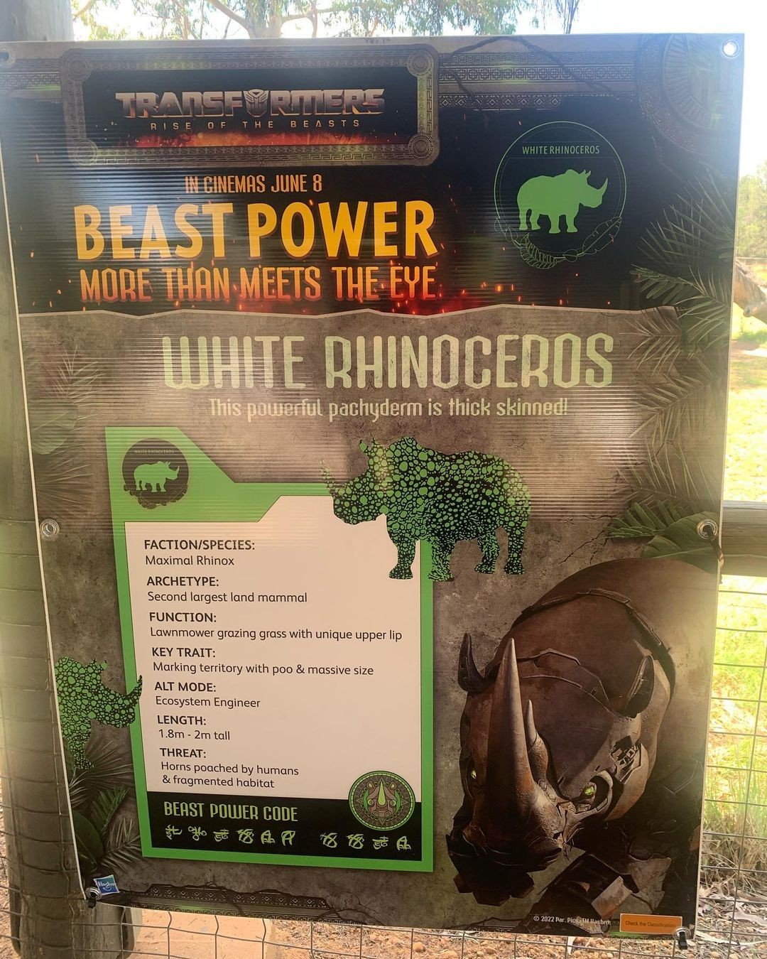 Transformers News: More Images of Rhinox, Cheetor and Airazor from the Transformers Rise of the Beasts Film Transformers News: More Images of Rhinox, Cheetor and Airazor from the Transformers Rise of the Beasts Film